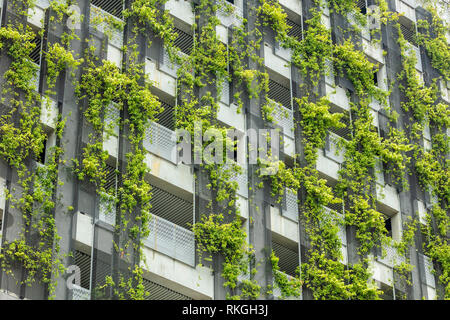 Vertikale Begrünung Gebäude in Singapur nachhaltige Stadtentwicklung Stockfoto