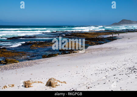 Die weißen Sandstrände entlang der wunderschönen und malerischen Küstenstraße entlang der Garden Route, Kapstadt, Südafrika Stockfoto