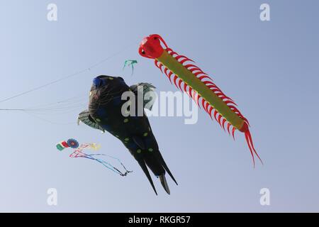 International Kite Festival-2019, Ahmedabad-India Stockfoto