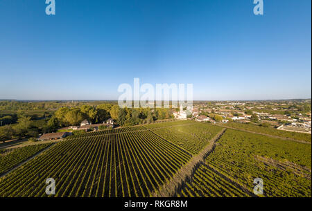 Luftaufnahme Weinberge im Sonnenschein, Weinberge von Loupiac, Bordeaux, Frankreich Stockfoto