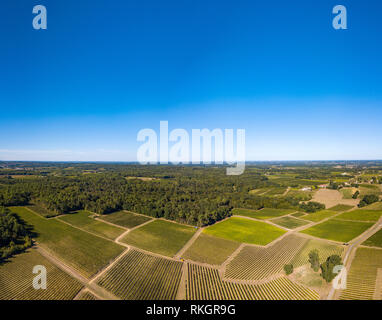 Weinlese, Luftaufnahme von Wein Land Ernte der Trauben mit Harvester, drone Blick auf Weinberge von Bordeaux, Frankreich Stockfoto