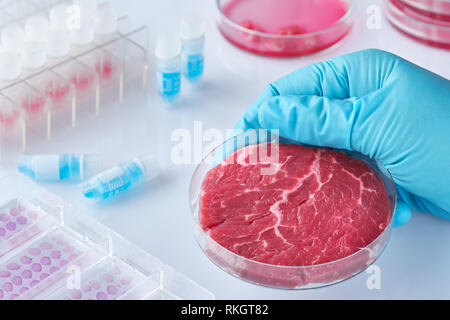 Fleisch Probe in offenen wiederverwendbare Zellkulturschale im modernen Labor oder Produktion. Konzept der sauberen Fleisch in vitro kultiviert aus einem Stockfoto