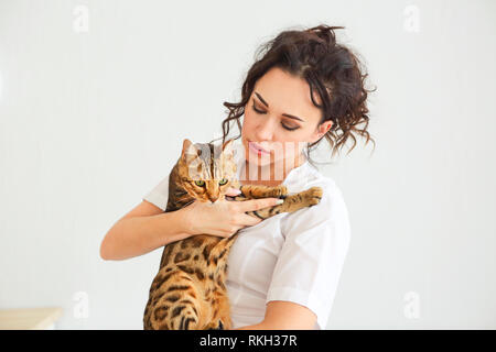 Tierarzt Arzt macht einen Check-up eines süßen schöne Katze. Veterinär Konzept Stockfoto