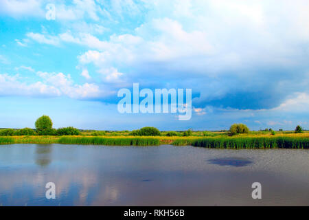 Landschaft mit See mit Schilf umgeben. Reisig von Rush in See. Wunderschöne natürliche Landschaft mit Teich und Wolken Stockfoto