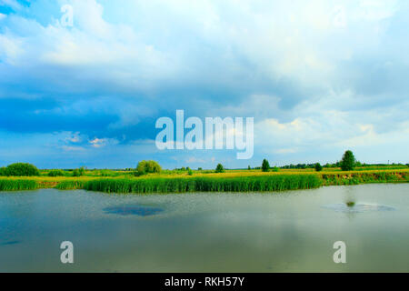 Landschaft mit See mit Schilf umgeben. Reisig von Rush in See. Wunderschöne natürliche Landschaft mit Teich und Wolken Stockfoto