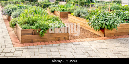 Ein Hochbeet von Gemüse und Blumen in einem städtischen Garten