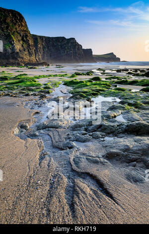 Whipsiderry Cove, in der Nähe von Porth in Cornwall. Stockfoto