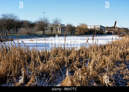 Gefrorenen Teich mit Wasser, Schilf im Vordergrund an einem sonnigen Tag Stockfoto