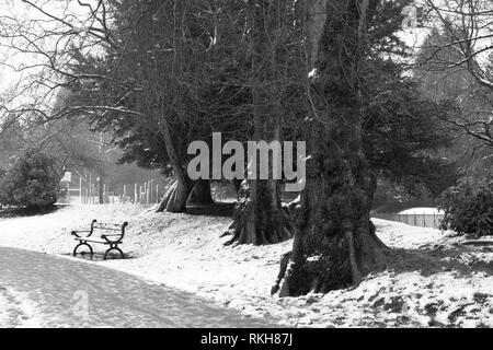 Pavilion Gardens im Buxton im Winter Stockfoto