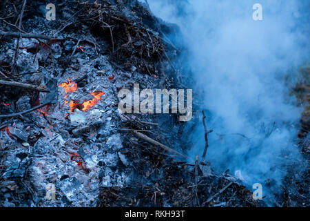 Glut und Rauch von einer sterbenden Bonfire. Stockfoto