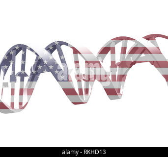 DNA-Kette in uns nationalen Farben Stockfoto