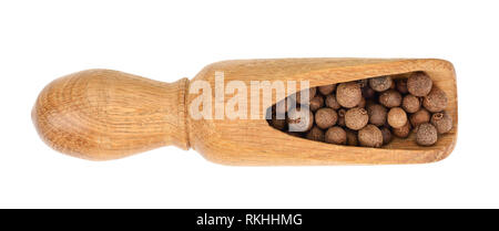 Allspices oder Jamaika Pfeffer in Holz- Schaufel auf weißem Hintergrund. Ansicht von oben Stockfoto