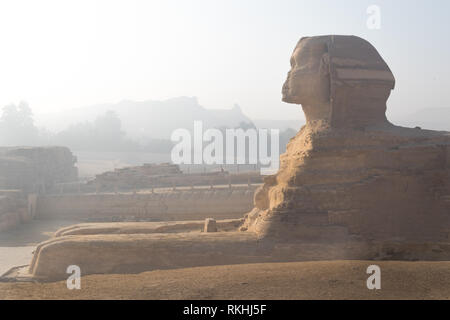 Die Große Sphinx von Gizeh in der Nähe von Cairo, Ägypten, bei Sonnenaufgang am frühen Morgen mit keine Touristen. Stockfoto