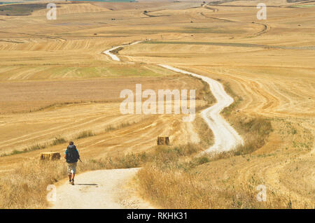 Junge Mann ist Wandern auf dem Cammino de Santiago de Compostela. Ansicht von hinten Stockfoto