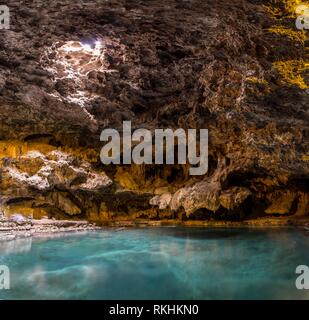 Höhle mit einem geothermischen Frühling, Höhle und Basin National Historic Site, Banff National Park, Alberta, Kanada Stockfoto