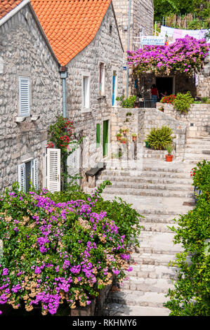 Alte Häuser in der touristischen Destination von Mali Ston auf der Halbinsel Peljesac, Dalmatien, Kroatien Stockfoto