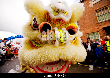 Choy Lee Fut Lion Dance Troupe Durchführung der Lion Dance als Teil der 2019 chinesischen Neue Jahr des Schweins feiern in Birmingham, England, Großbritannien abgehalten. Stockfoto