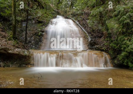 Golden Cascade in vollem Durchfluss nach heftigem Regen. Stockfoto