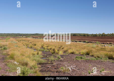 Torfgewinnung auf Totes Moor/Tote Moor, Moor in der Nähe von Neustadt am Rübenberge - Landkreis Hannover, Niedersachsen/Niedersachsen, Deutschland Stockfoto