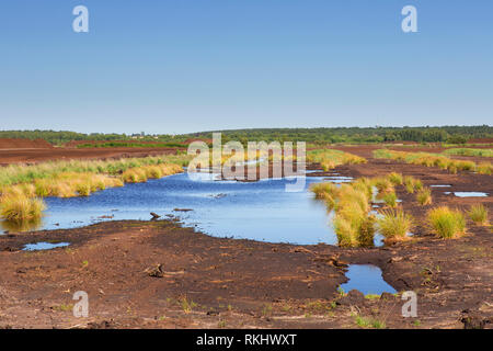 Torfgewinnung auf Totes Moor/Tote Moor, Moor in der Nähe von Neustadt am Rübenberge - Landkreis Hannover, Niedersachsen/Niedersachsen, Deutschland Stockfoto
