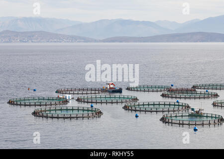 Schwimmende Fischfarm in Griechenland Stockfoto
