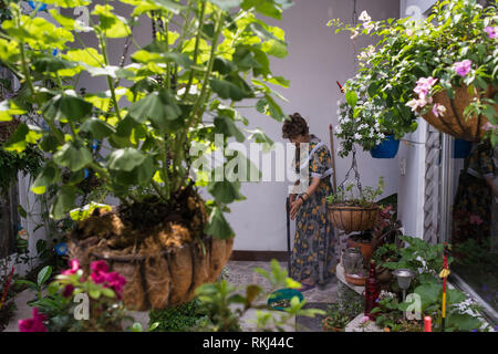 Medellin, Antioquia, Kolumbien: Interieur Stockfoto