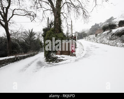 Die postbox zwischen Nord und Süd Sands in Kingsbridge nach dem Tier aus dem Osten South Devon getroffen. Stockfoto