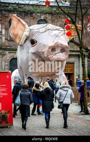 Chinesische Neujahrsfest in Manchester, UK. Das chinesische Jahr des Schweins wurde gefeiert mit einem riesigen Ferkel in St Anne's Platz in der Stadt. Stockfoto