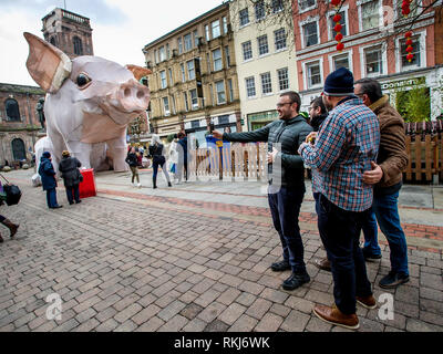 Chinesische Neujahrsfest in Manchester, UK. Das chinesische Jahr des Schweins wurde gefeiert mit einem riesigen Ferkel in St Anne's Platz in der Stadt. Stockfoto
