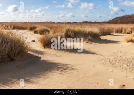 Blick auf covehithe und benacre Breite an der Küste von Suffolk Stockfoto