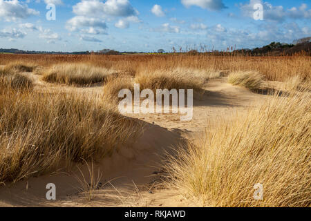 Blick auf covehithe und benacre Breite an der Küste von Suffolk Stockfoto