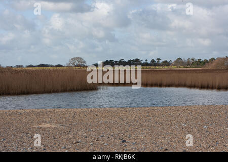 Blick auf covehithe und benacre Breite an der Küste von Suffolk Stockfoto