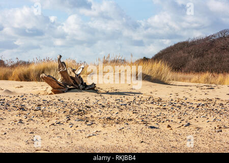 Blick auf covehithe und benacre Breite an der Küste von Suffolk Stockfoto