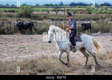 Eine junge französische Guardianson auf Pferd, Camargue, Frankreich Stockfoto