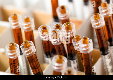 Legal Cannabis wachsen Zimmer Serie - Marihuana Anbau und Anbau Öl konzentrieren in Spritzen Stockfoto