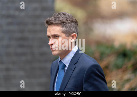 London am 12. Februar 2019, Gavin Williamson, MP PC, Verteidigungsminister, kommt an einer Kabinettssitzung am 10 Downing Street, London Credit Ian Davidson/Alamy leben Nachrichten Stockfoto