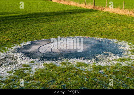 Gefrorenes Wasser Pfütze auf einer Wiese Stockfoto