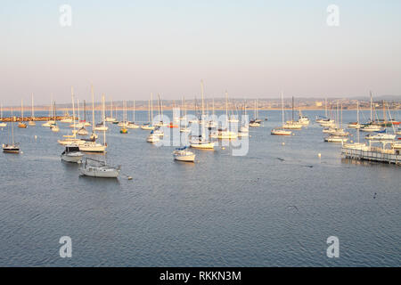 Blick auf die Boote im Yachthafen in Monterey, Kalifornien, USA, von Sister City Park. Stockfoto