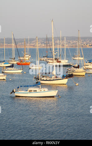 Blick auf die Boote im Yachthafen in Monterey, Kalifornien, USA, von Sister City Park. Stockfoto