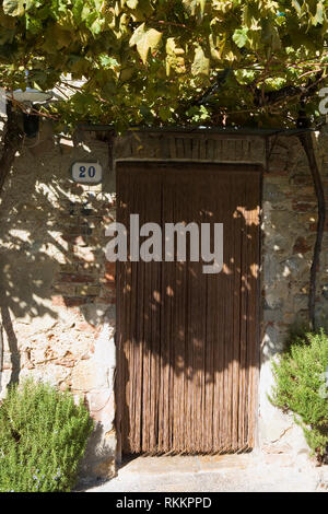 Ein schattiger Weg, über Antonio Gramsci, Monteriggioni, Toskana, Italien Stockfoto