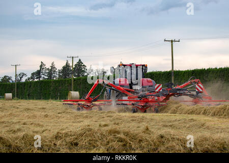 Annat, Canterbury, Neuseeland - 1. Februar 2019: Ein roter Traktor und Heuwender biegen Sie Heu in Zeilen bereit für die Ballenpresse Stockfoto