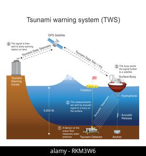 Ein Tsunami-Warnsystem (TWS) wird verwendet, um Tsunamis im Voraus