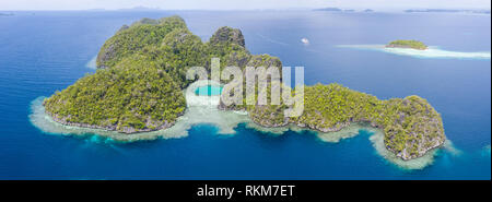 Gesunde Korallenriffe umgeben den Kalkstein Inseln in Raja Ampat, Indonesien gefunden. Dieser abgelegene, tropische Region ist für seine marine Artenvielfalt bekannt. Stockfoto