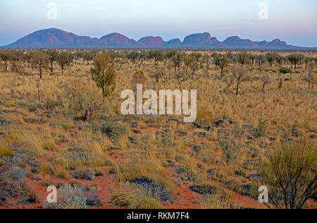 Die Felsen von Kata Tjuta in der Morgendämmerung Stockfoto