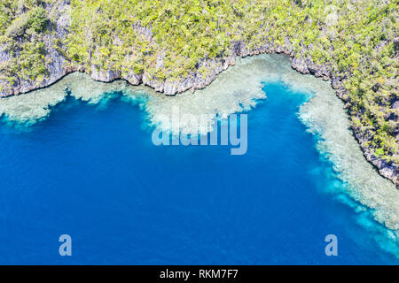 Gesunde Korallenriffe fringe der Kalkstein Inseln in Raja Ampat, Indonesien gefunden. Dieser abgelegene, tropische Region ist für seine marine Artenvielfalt bekannt. Stockfoto