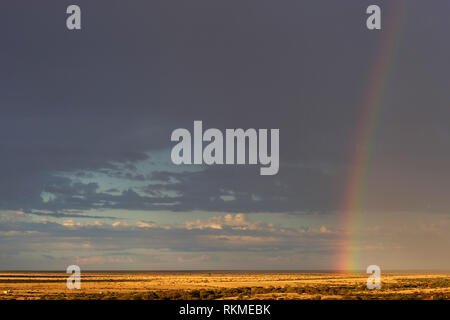 Afrika, Namibia, die Wüste Namib, Gewitterwolken und Regenbogen am frühen Abend über Wüste Stockfoto