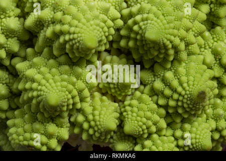 Romanesco Brokkoli Nahaufnahme Stockfoto