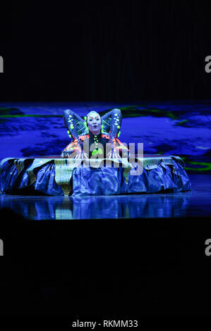 Cirque du Soleil 'Totem' Generalprobe in der Royal Albert Hall am Samstag, den 12. Januar, zu öffnen: Cirque du Soleil Darsteller Wo: London, Vereinigtes Königreich, wenn: 12 Jan 2019 Credit: WENN.com Stockfoto