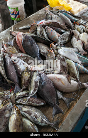 Fisch im Sir Selwyn Clarke Markt auf der Market Street, Victoria, Mahe Island, Seychellen, Indischer Ozean, Afrika Stockfoto