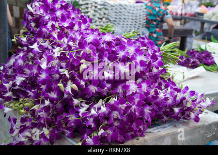 Bangkok Thailand, Pak Khlong Talat Marktstand verkaufen lila Orchideen Stockfoto